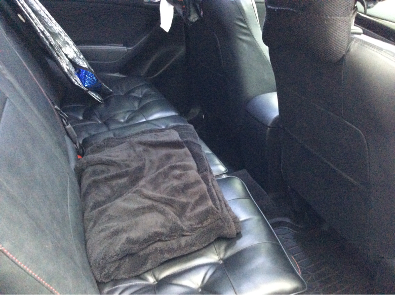 内装後方シート