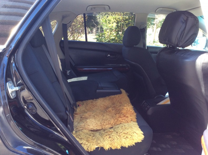 内装後方シート